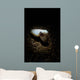 Cuttlefish Spotlight North Sulawesi Wall Decal