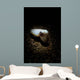 Cuttlefish Spotlight North Sulawesi Wall Decal
