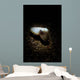 Cuttlefish Spotlight North Sulawesi Wall Decal