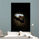 Cuttlefish Spotlight North Sulawesi Wall Decal
