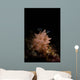 Halgerda Batangas Nudibranch North Wall Decal
