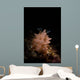 Halgerda Batangas Nudibranch North Wall Decal