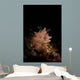 Halgerda Batangas Nudibranch North Wall Decal
