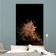 Halgerda Batangas Nudibranch North Wall Decal