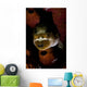 Blackspotted Pufferfish Sponge North Wall Decal