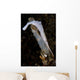 White Ocellated Tozeuma Shrimp Wall Decal