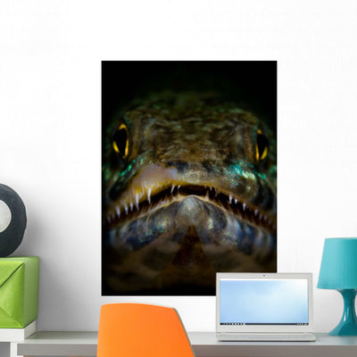 Lizardfish Portrait Wall Decal shown on a wall