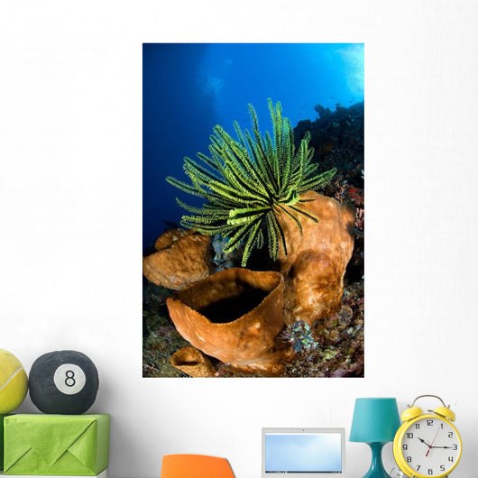 Yellow Crinoid Perched Large Wall Decal