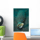 Shorthead Fangblenny Bottle North Wall Decal