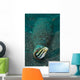 Shorthead Fangblenny Bottle North Wall Decal