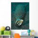 Shorthead Fangblenny Bottle North Wall Decal