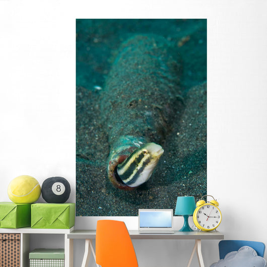 Shorthead Fangblenny Bottle North Wall Decal