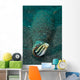 Shorthead Fangblenny Bottle North Wall Decal