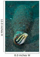 Shorthead Fangblenny Bottle North Wall Decal