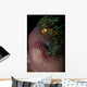 False Clown Anemonefish Magnificent Wall Decal Design 2