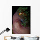 False Clown Anemonefish Magnificent Wall Decal Design 2
