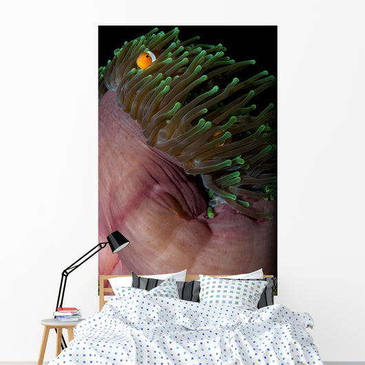 False Clown Anemonefish Magnificent Wall Decal Design 1