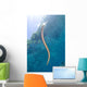 Chinese Sea Snake Banda Wall Decal Design 4