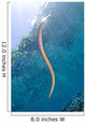 Chinese Sea Snake Banda Wall Decal Design 4