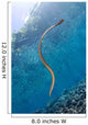 Chinese Sea Snake Banda Wall Decal Design 3