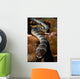 Sea Snake Portrait Banda Wall Decal