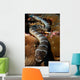 Sea Snake Portrait Banda Wall Decal