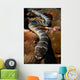 Sea Snake Portrait Banda Wall Decal