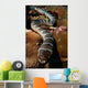 Sea Snake Portrait Banda Wall Decal