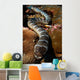 Sea Snake Portrait Banda Wall Decal