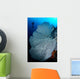 Gorgonian Sea Fan and Wall Decal