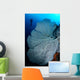 Gorgonian Sea Fan and Wall Decal