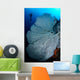 Gorgonian Sea Fan and Wall Decal