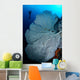 Gorgonian Sea Fan and Wall Decal