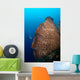 Elephant Ear Sponge Dwarfs Wall Decal