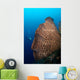 Elephant Ear Sponge Dwarfs Wall Decal