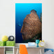 Elephant Ear Sponge Dwarfs Wall Decal