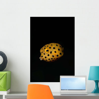 Juvenile Yellow Boxfish Wall Decal shown on a wall