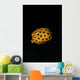 Juvenile Yellow Boxfish Wall Decal