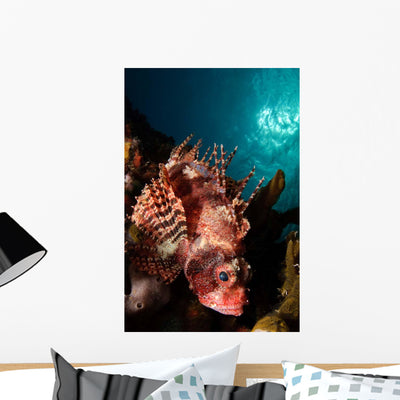 Shortfin Lionfish Banda Sea Wall Decal Design 2 shown on a wall