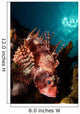 Shortfin Lionfish Banda Sea Wall Decal Design 2