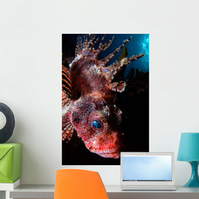 Shortfin Lionfish Banda Sea Wall Decal Design 1 shown on a wall