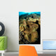 Leather Coral Banda Sea Wall Decal