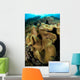 Leather Coral Banda Sea Wall Decal