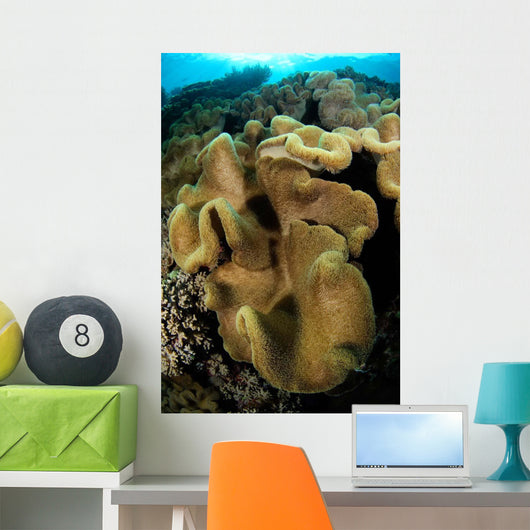 Leather Coral Banda Sea Wall Decal