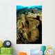Leather Coral Banda Sea Wall Decal