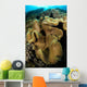 Leather Coral Banda Sea Wall Decal