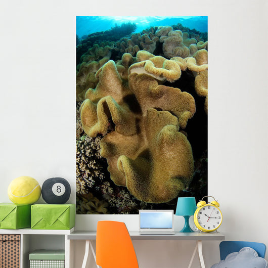 Leather Coral Banda Sea Wall Decal