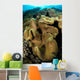Leather Coral Banda Sea Wall Decal