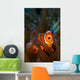Yawning Anemonefish Raja Ampat Wall Decal