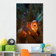 Yawning Anemonefish Raja Ampat Wall Decal